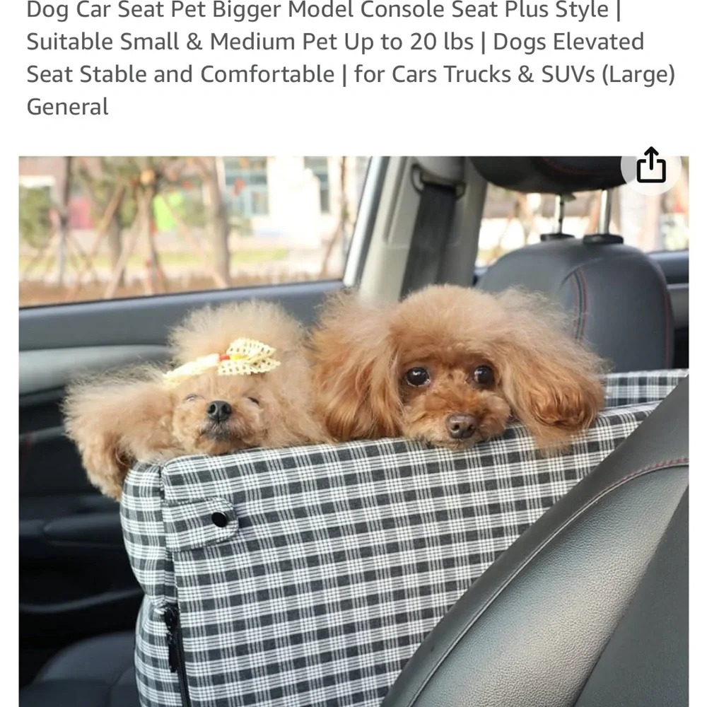 Pet Car Seat